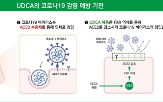 코로나19,예방,효과