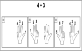 손가락,덧셈,훈련,어린이,계산