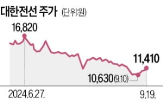 대한전선,미국,케이블