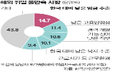 해외,취업자,국내,취업,일본,가장