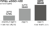 시장,낸드