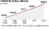 배추,중국산,정부,가을배추