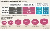 대출,한도,수도권,적용,포인트,가산금리,가계부채,차주,스트레스,금융위