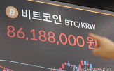 대주주,가상자산,법률,범죄,가상자산사업자