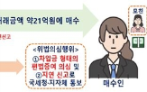 거래,아파트,조사,국토부,의심,대출,이상,공개,미등기,매수