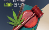 법무부,대마,처벌