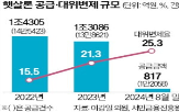 서민,대출,정책금융상품,정부,대신