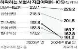 비율,하락,내년,보험사,건전성,가능성