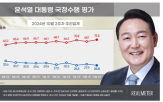 평가,조사,부정,대통령,정당,국정