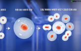 개발,세포주,플랫폼,셀트리온,기술,생산,세포,자체