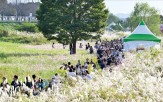 축제,가을,해수욕장,다양,공항철도,여행,광주,원산도,구간,장소