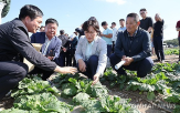 공급,농식품부,확대,계획,김장철