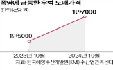 우럭,수온,광어,예상,출하량