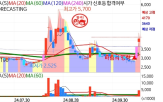 반도체,시장,종목,업계,엔비디아,대한,주가,예상