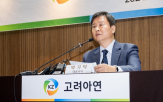 고려아연,영풍,공개매수,가처분,연합,사장