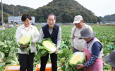 배추,수급,김장철,총리,농민