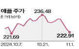 애플,매출,시장,대비,동기,전년