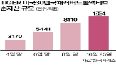 테슬라,전략,커버드콜,상품,안정,수익