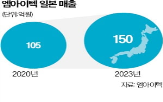 스텐트,엠아이텍,일본,기존