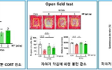 증상,치료,불안,동반