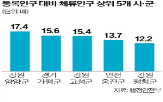 체류인구,강원,사용액,양양군