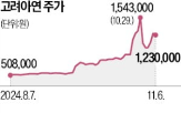 고려아연,유상증자,금감원,제출,예정,철회