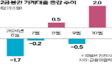 가계대출,잔금대출,금융당국,대출,관리,점검