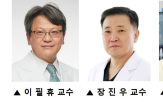 투여,환자,증상,고용량,파킨슨병,호전