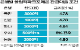 잔금대출,한도,내년,공급