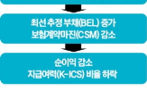 원칙,모형,예외,보험사,당국,가정