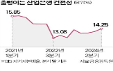 산은,법정자본금,의원,자본금,산업은행