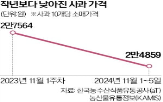 사과,가격,대비,전년,작년,올해