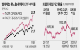 달러,환율,가치,투자,트럼프,미국,강세,수익률