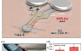 센서,초박막