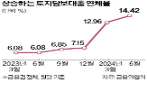 대출,규제,금융사,부동산,방안