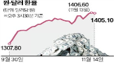 환율,달러,시장,트럼프,미국,전날,수준,전망,한국,정부