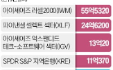 트럼프,소프트웨어,중소형주,자금,미국