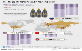 미국,바이든,핵무기,행정부,핵무력,준비,증강,트럼프,추가