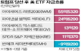 트럼프,소프트웨어,당선,중소형주,미국,최대