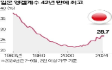 일본,엥겔계수,가구,식비,상승,지적