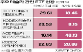 테슬라,트럼프,주가,주식,국내,투자자