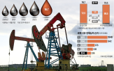 원유,미국산,중동,확대,정부,미국,수입,다변화,트럼프,가격