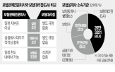 도입,전문회사,보험판매,제도,요건,보험사,수준