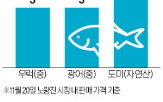 소매상,도매상,손님,수산물,소비자,중도매상