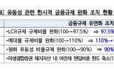 규제,정상화,유동성,조치,시장