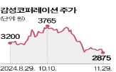 감성코퍼레이션,겨울,주가,실적,각각