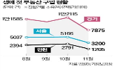 디딤돌대출,아파트,부동산,대출