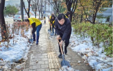 제설지원단,서초구,눈치우기