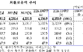 달러,외환보유액,달러화