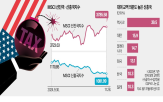 트럼프,신흥국,당선,증시,당선인,미국,지수,대미